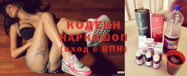 прущие грибы Михайлов