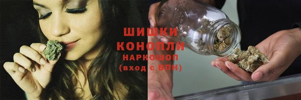 стаф Нефтекумск
