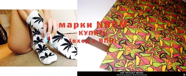стаф Нефтекумск