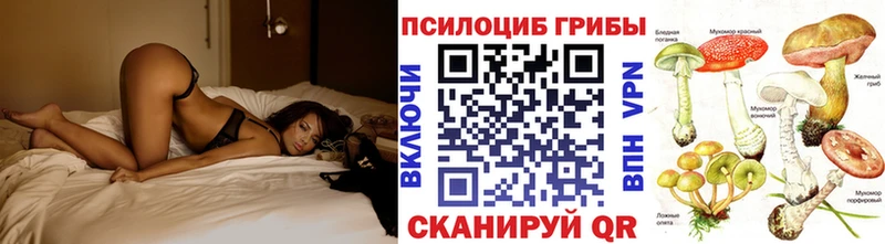 Псилоцибиновые грибы мицелий  shop клад  Цоци-Юрт 