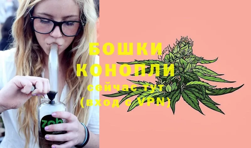 как найти наркотики  Цоци-Юрт  Марихуана SATIVA & INDICA 